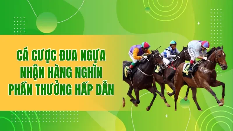 Cá cược đua ngựa nhận hàng nghìn phần thưởng hấp dẫn