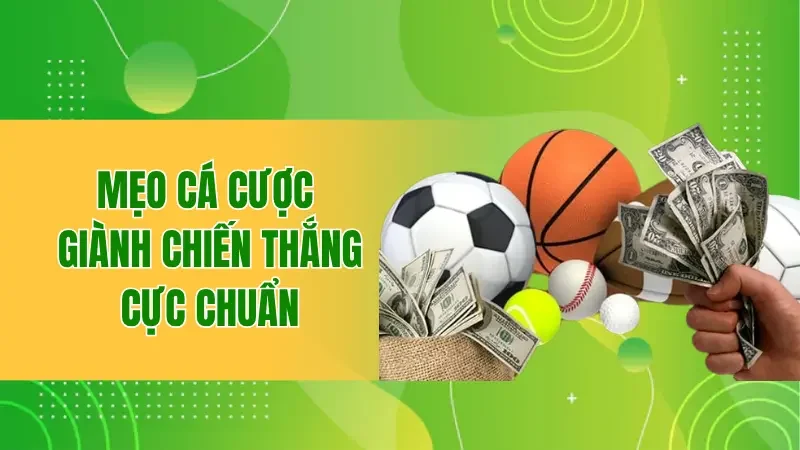 Mẹo cá cược giành chiến thắng cực chuẩn